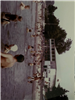 Black and white photo of people on the beach with beach house beyond