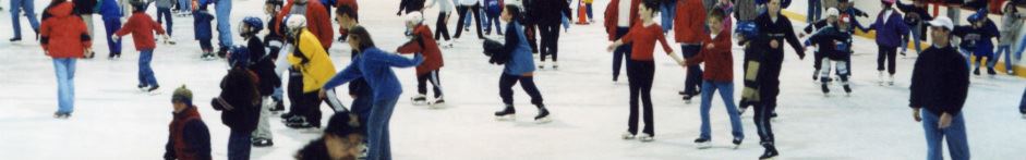Adults and Youth Ice Skating