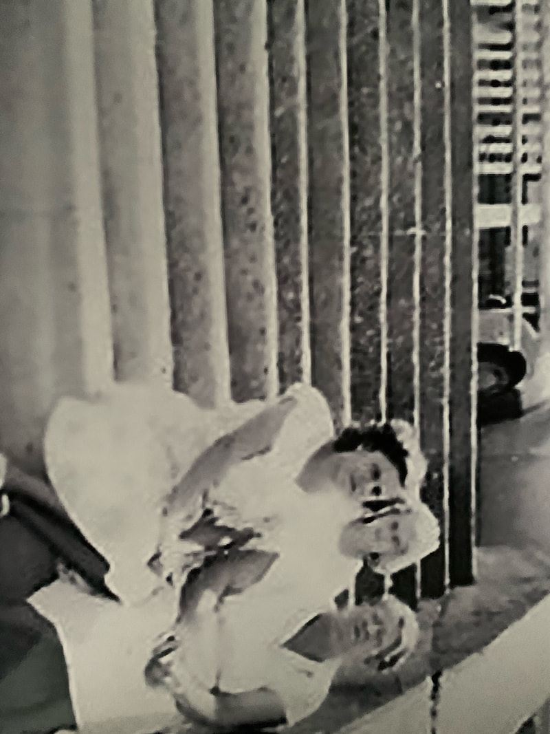 Black and white photo of people seated on stairs