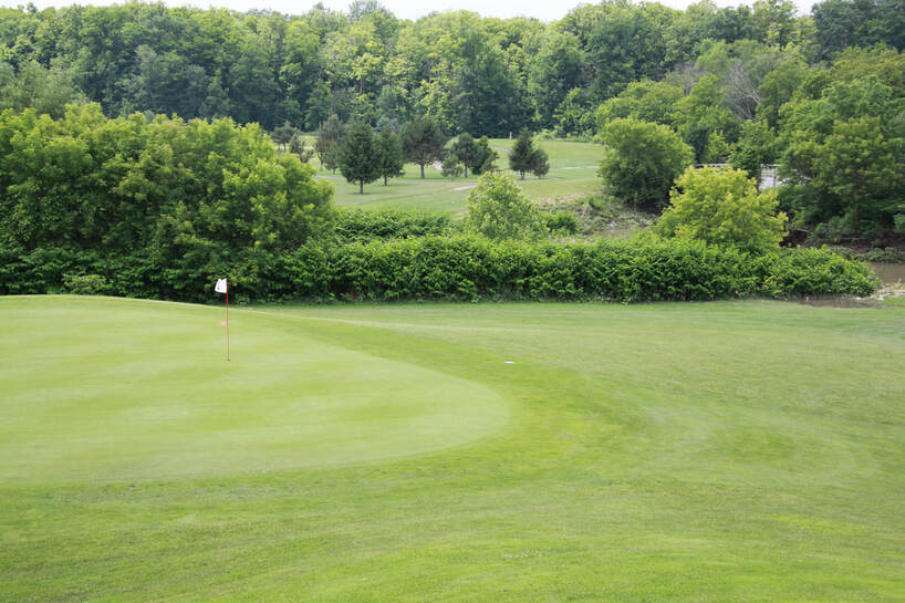 Golf Green