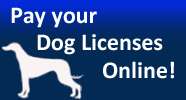 Pay Your Dog Licenses Online